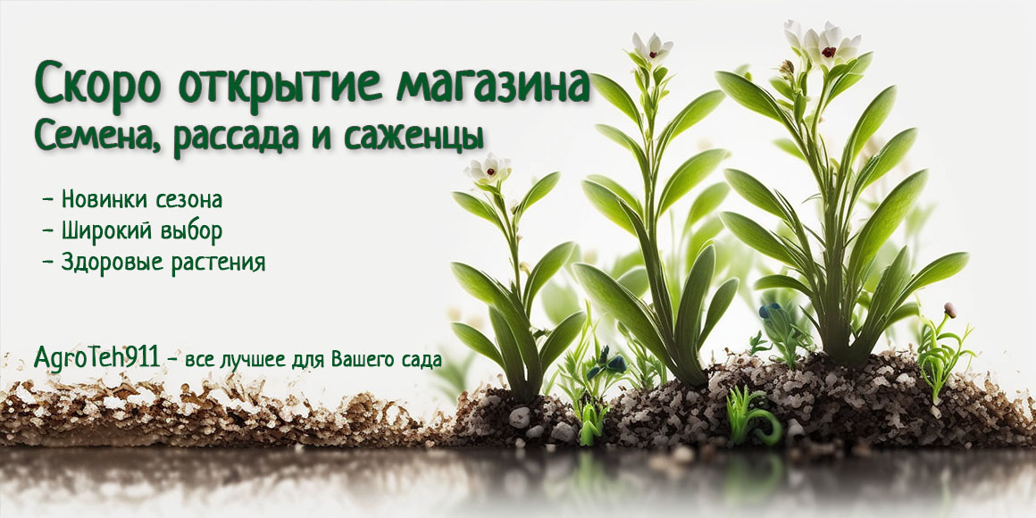 Скоро открытие магазина: новые поступления растений и садового инвентаря ждут вас!
